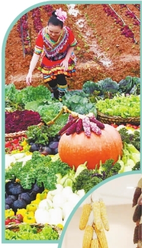 //epaper.gmw.cn/gmrb/images/2019-05/22/08/p349_b.jpg