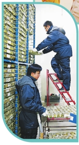 //epaper.gmw.cn/gmrb/images/2019-05/22/08/p34A_b.jpg