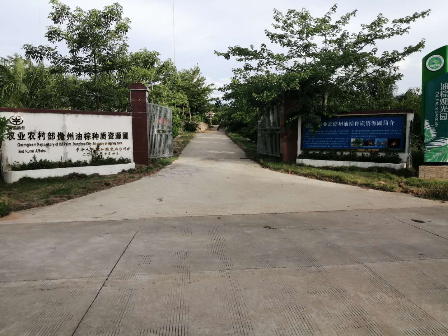 1617938153298134.jpg